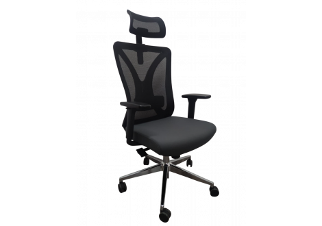 Fauteuil Ergonomique CAPELLA