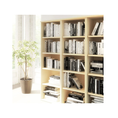 Armoire haute L100 P45 H198 cm ouverte OH hêtre